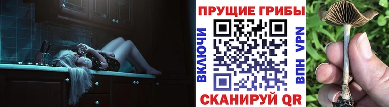 Галлюциногенные грибы Magic Shrooms  Купить где  Жердевка 