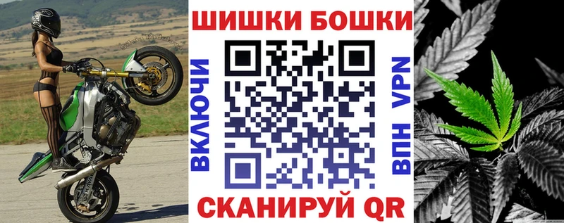 Бошки Шишки марихуана  Купить закладки  Жердевка 